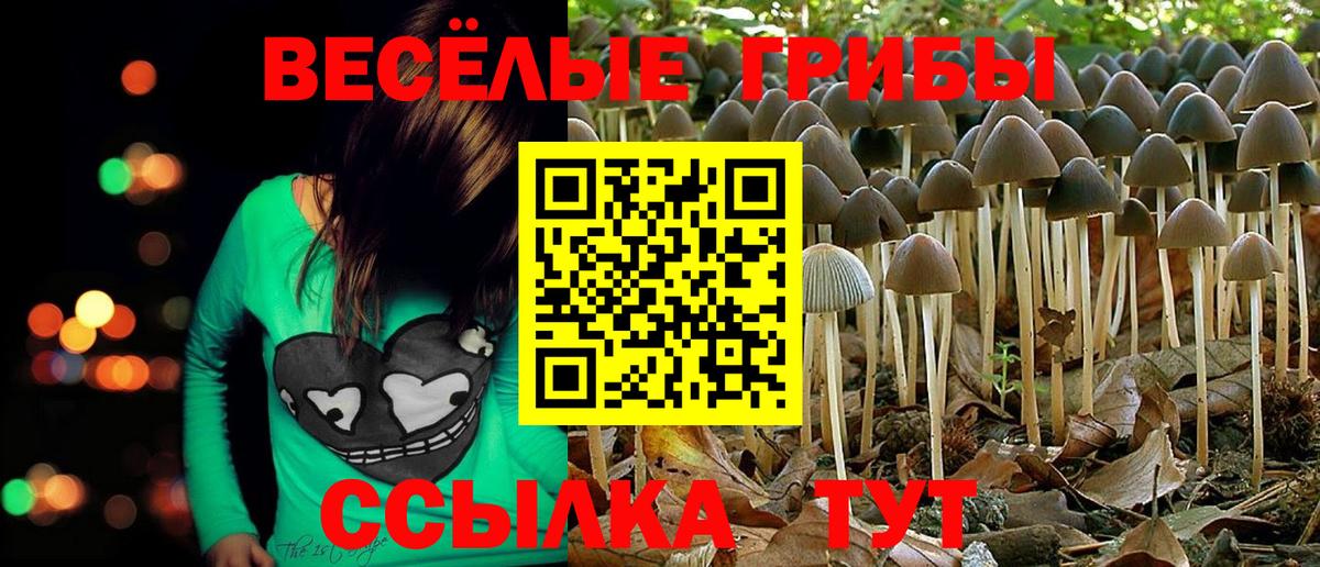 Галлюциногенные грибы мицелий  Псилоцибиновые грибы Psilocybine cubensis  где купить наркоту  Нефтекамск  Вход с VPN 